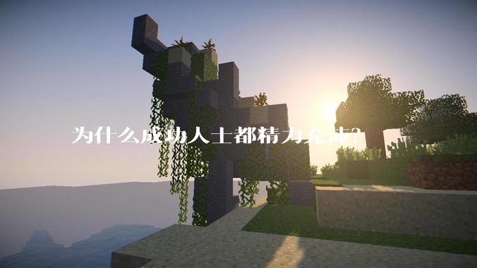 为什么成功人士都精力充沛？