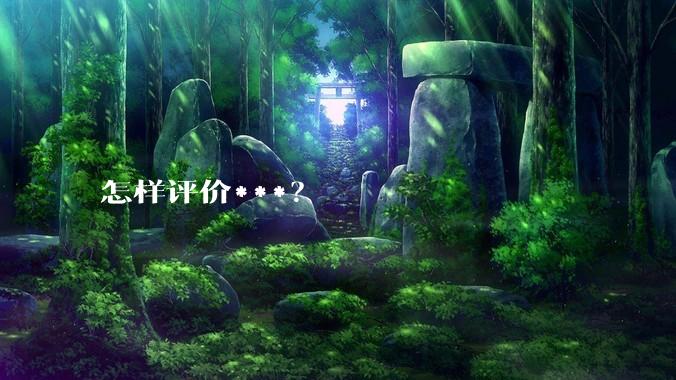 怎样评价***？
