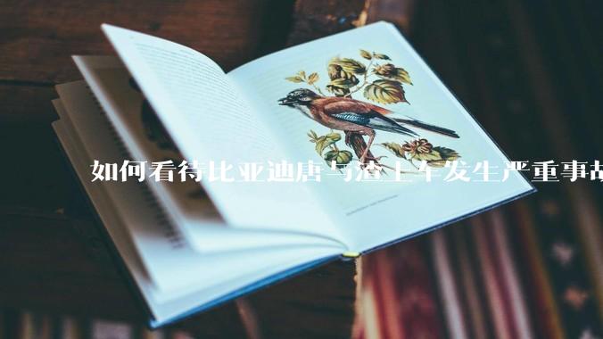 如何看待比亚迪唐与渣土车发生严重事故？